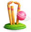 Cricket