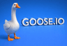 GooseGame IO