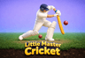 Little Master Cricket