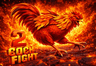 Cock Fighters