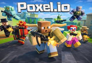 Poxel IO